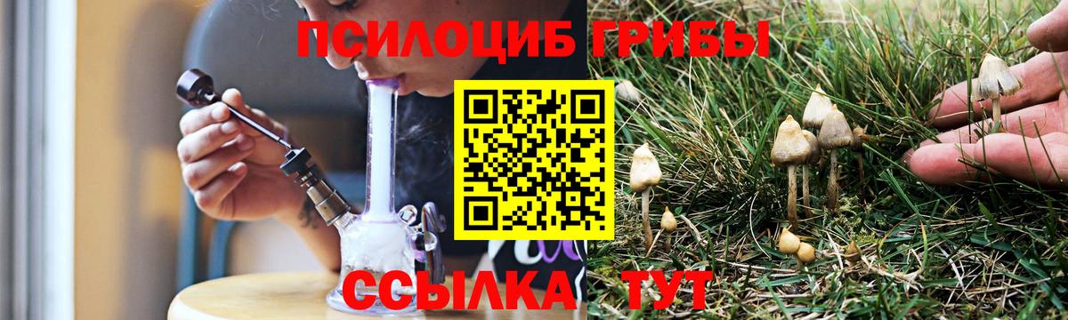 Галлюциногенные грибы Psilocybine cubensis  Галлюциногенные грибы Magic Shrooms  Вход с VPN  Алексеевка 