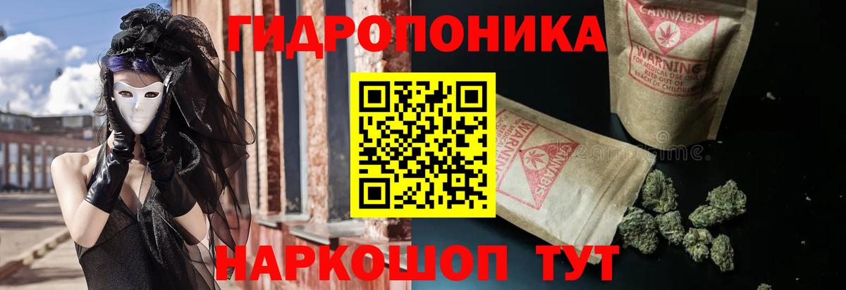 Канабис семена Алексеевка
